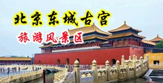 羞羞答答麻豆动漫中国北京-东城古宫旅游风景区